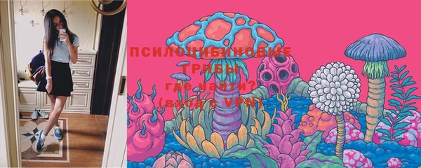 бошки Гусиноозёрск