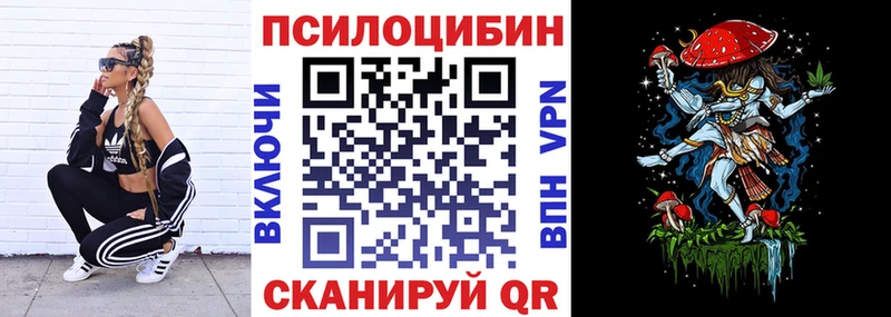 Купить закладки  Пустошка  Галлюциногенные грибы мицелий 