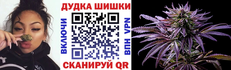 Купить где  Пустошка  Бошки марихуана планчик 